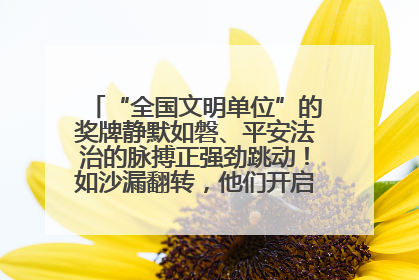 “全国文明单位”的奖牌静默如磐、平安法治的脉搏正强劲跳动！如沙漏翻转，他们开启了全新的计时